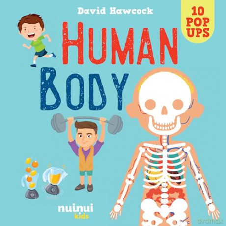 Human Body Pop Up - David Hawcock [KSIĄŻKA]