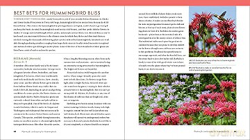 Hummingbird Handbook The - John Shewey [KSIĄŻKA]
