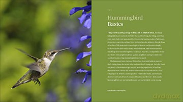 Hummingbird Handbook The - John Shewey [KSIĄŻKA]