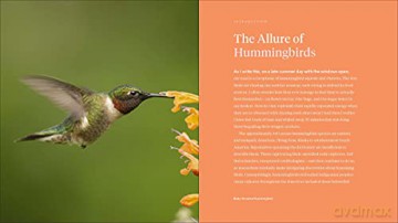 Hummingbird Handbook The - John Shewey [KSIĄŻKA]