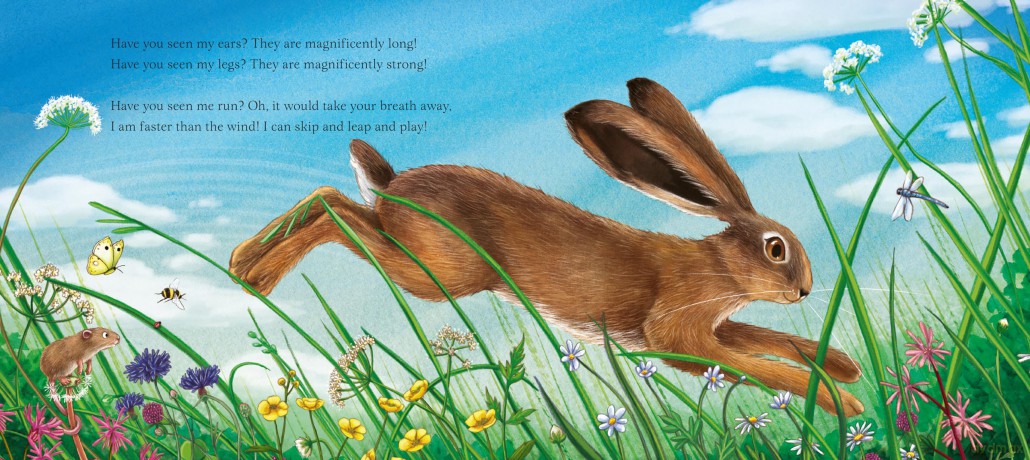 I Am Hattie The Hare - Pam Ayres [KSIĄŻKA]