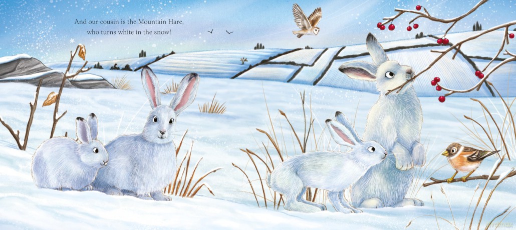 I Am Hattie The Hare - Pam Ayres [KSIĄŻKA]