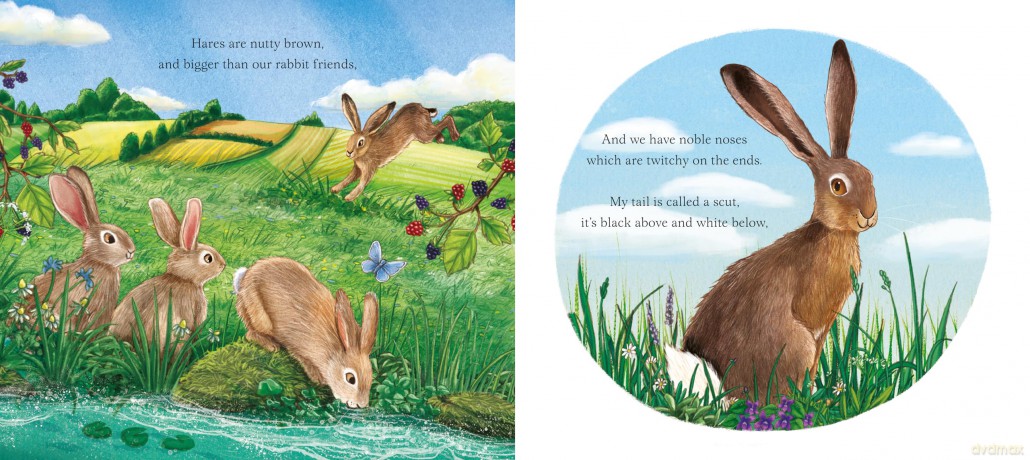 I Am Hattie The Hare - Pam Ayres [KSIĄŻKA]