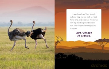 I Am Not A Giraffe - Mari Bolte [KSIĄŻKA]