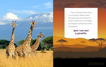 I Am Not A Giraffe - Mari Bolte [KSIĄŻKA]