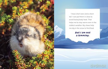 I Am Not A Penguin - Mari Bolte [KSIĄŻKA]