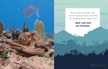 I Am Not An Octopus - Mari Bolte [KSIĄŻKA]