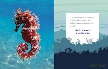 I Am Not An Octopus - Mari Bolte [KSIĄŻKA]