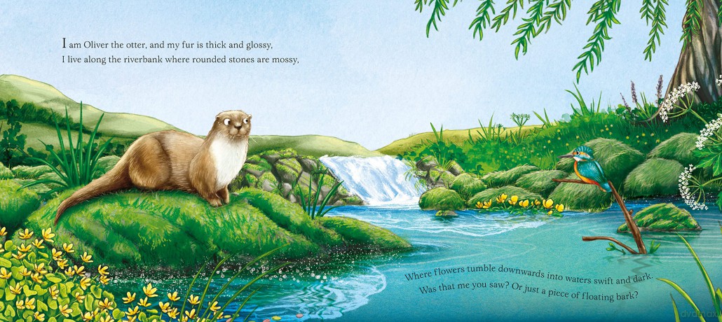 I Am Oliver The Otter - Pam Ayres [KSIĄŻKA]