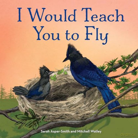 I Would Teach You To Fly - Sarah Asper-Smith [KSIĄŻKA]