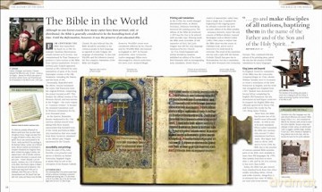 Illustrated Bible Story By Story - Dk [KSIĄŻKA]
