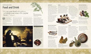 Illustrated Bible Story By Story - Dk [KSIĄŻKA]