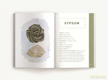 Illustrated Field Guides Rocks Minerals - Cider Mill Press, [KSIĄŻKA]