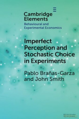 Imperfect Perception And Stochastic Cho - Bra As-Garza Pablo [KSIĄŻKA]