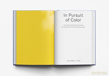 In Pursuit Of Color - Lauren Macdonald [KSIĄŻKA]