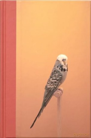 Incomplete Dictionary Of Show Birds Vol - Luke Stephenson [KSIĄŻKA]