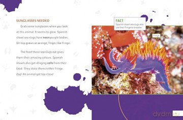 Incredibly Colourful Creatures - Meg Cooley Peterson [KSIĄŻKA]