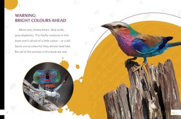 Incredibly Colourful Creatures - Meg Cooley Peterson [KSIĄŻKA]