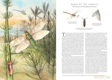 Insectopia [KSIĄŻKA]