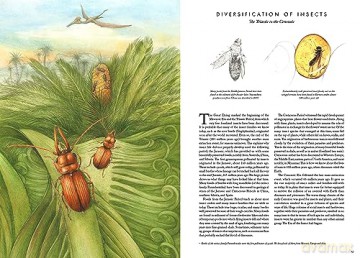 Insectopia [KSIĄŻKA]