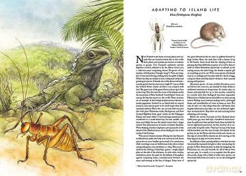 Insectopia [KSIĄŻKA]