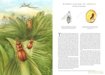 Insectopia [KSIĄŻKA]