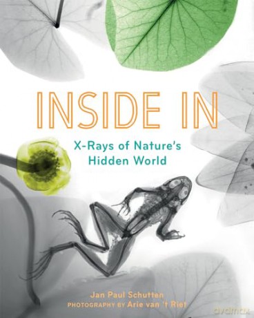 Inside In - Jan Paul Schutten [KSIĄŻKA]