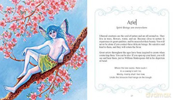 Inspirational Visions Oracle Cards - Judy Mastrangelo [KSIĄŻKA]