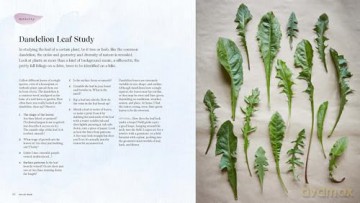 Into The Weeds - ama Matsuoka Wong [KSIĄŻKA]