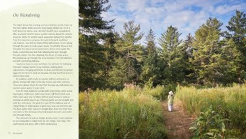 Into The Weeds - ama Matsuoka Wong [KSIĄŻKA]
