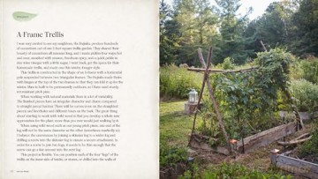 Into The Weeds - ama Matsuoka Wong [KSIĄŻKA]