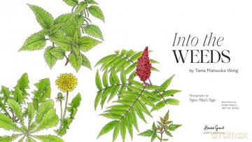 Into The Weeds - ama Matsuoka Wong [KSIĄŻKA]