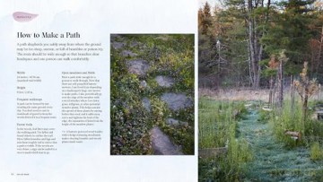 Into The Weeds - ama Matsuoka Wong [KSIĄŻKA]