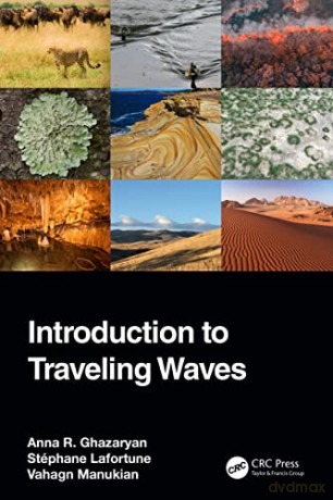 Introduction To Traveling Waves - Anna R. Ghazaryan [KSIĄŻKA]