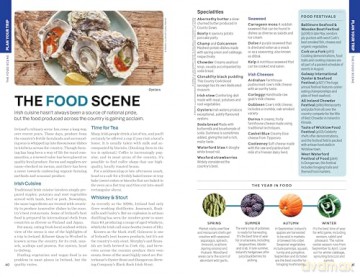 Ireland - Lonely Planet [KSIĄŻKA]