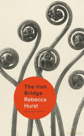Iron Bridge - Rebecca Hurst [KSIĄŻKA]