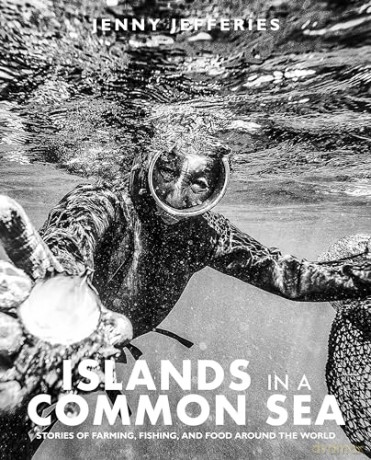 Islands In A Common Sea - Jenny Jefferies [KSIĄŻKA]