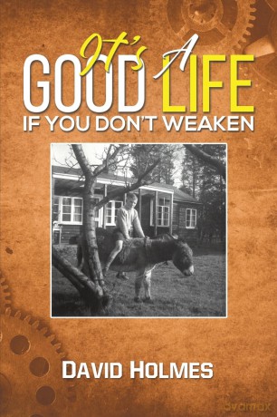 Its A Good Life If You Dont Weaken - David Holmes [KSIĄŻKA]