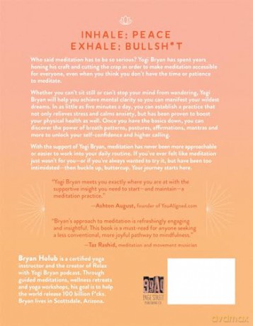 Its Just Fucking Meditation - Bryan Holub [KSIĄŻKA]