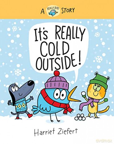 Its Really Cold Outside [KSIĄŻKA]