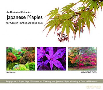 Japanese Maples - Unknown [KSIĄŻKA]