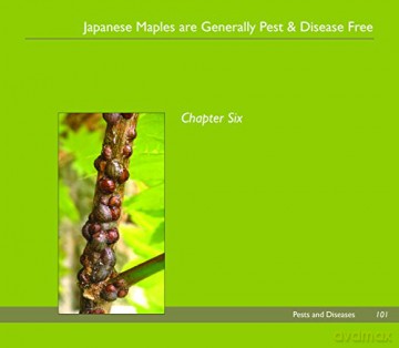 Japanese Maples - Unknown [KSIĄŻKA]