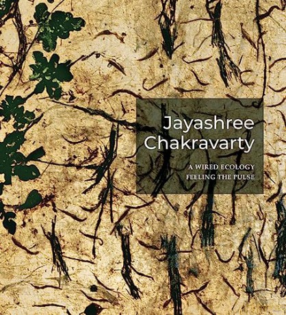 Jayshree Chakravarty - Roobina Karode [KSIĄŻKA]