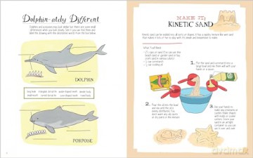 Julia Rothmans Ocean Anatomy Activity - Julia Rothman [KSIĄŻKA]