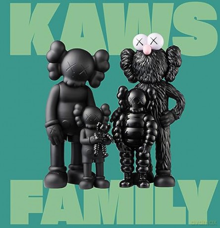 Kaws Family - Julian Cox [KSIĄŻKA]