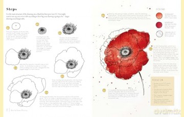 Kew Book Of Drawing Flowers - Bianca Giarola [KSIĄŻKA]