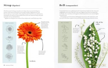 Kew Book Of Drawing Flowers - Bianca Giarola [KSIĄŻKA]