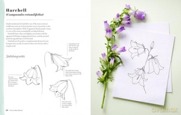 Kew Book Of Drawing Flowers - Bianca Giarola [KSIĄŻKA]