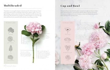Kew Book Of Drawing Flowers - Bianca Giarola [KSIĄŻKA]