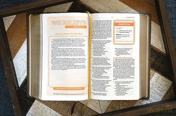 Kjv Teen Study Bible Lea Hb - Richards Lawrence O [KSIĄŻKA]